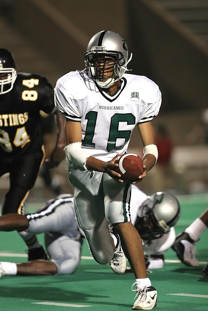 新的活力 新的活力